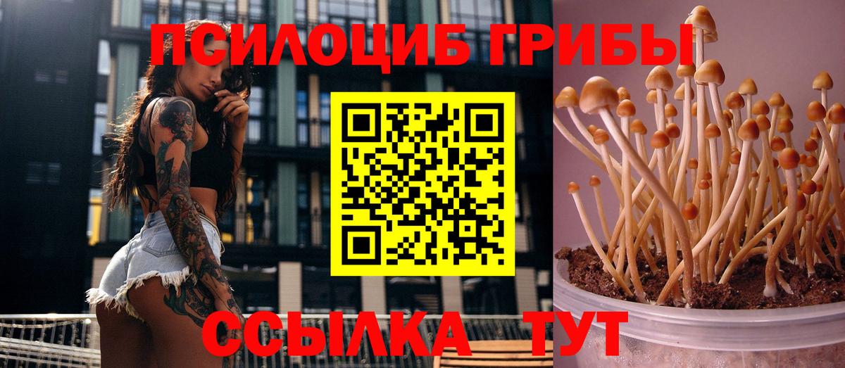 Галлюциногенные грибы мухоморы Реж