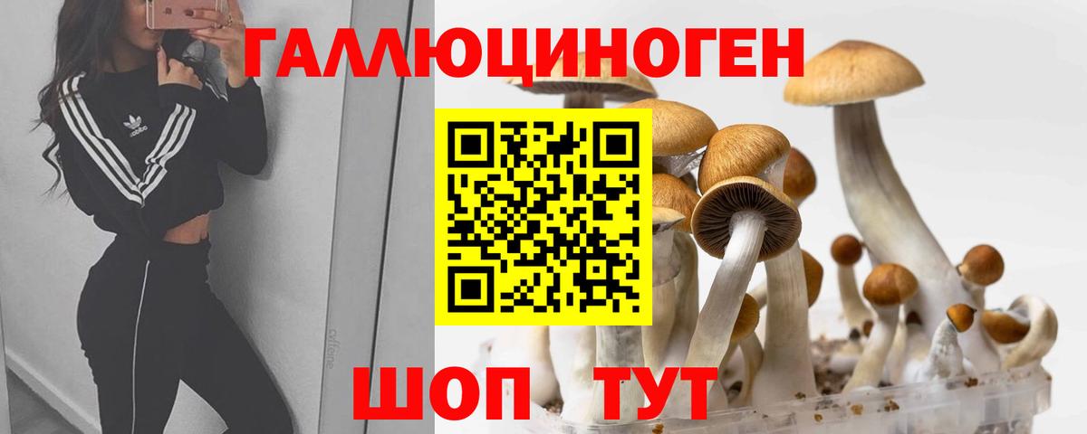 Псилоцибиновые грибы мухоморы  Вход с VPN  Реж  Галлюциногенные грибы Psilocybe 